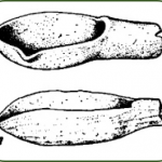 Casting ladle from the Bronze Age (T. Kovács 1977, 37)